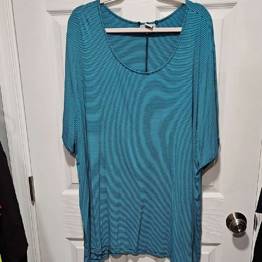 Catherines Blue Striped Tunic Top